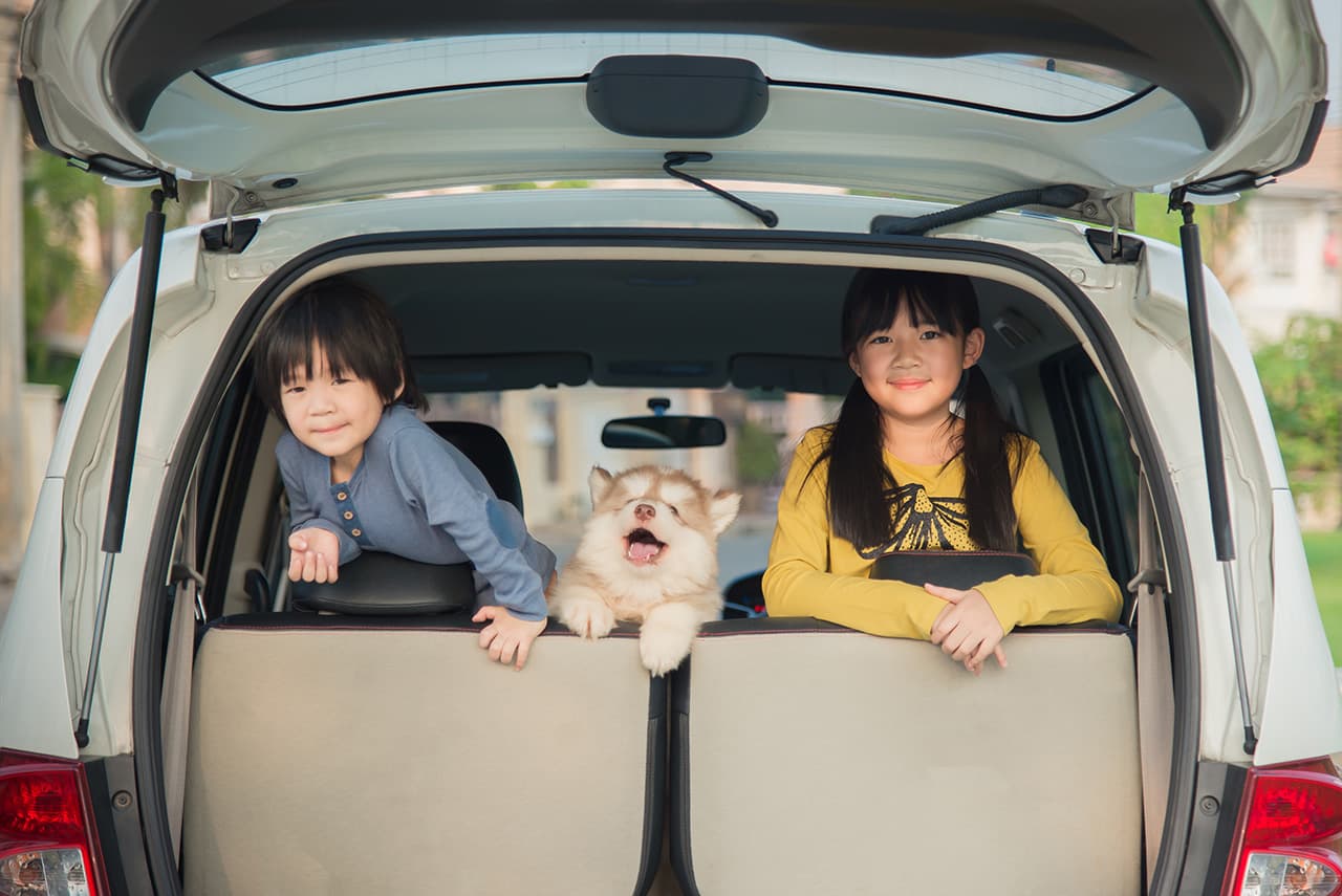 車の後ろで笑っている子供と犬